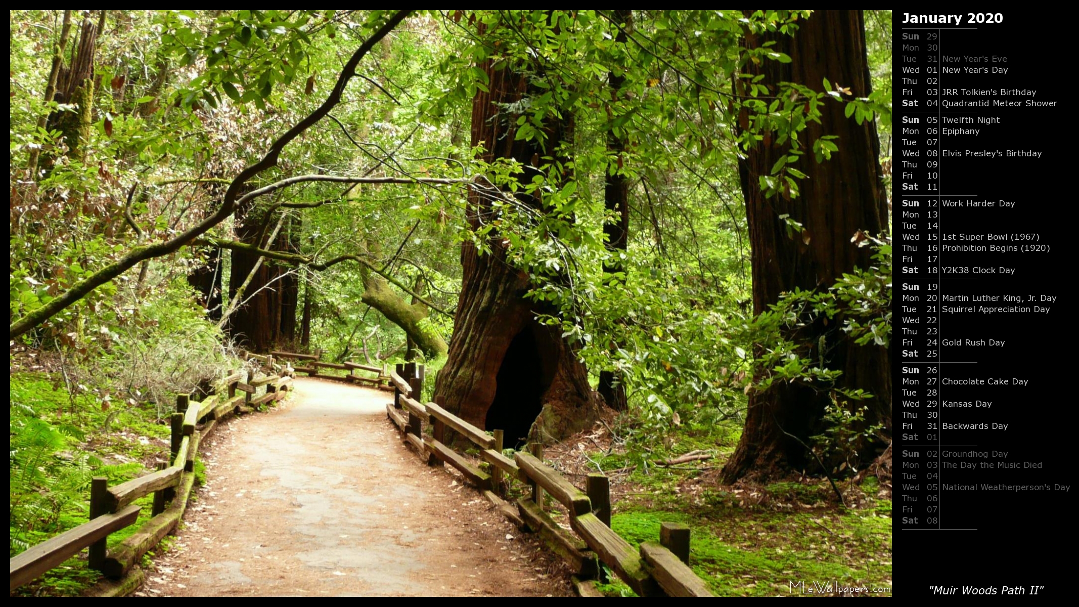 Mlewallpaper Muir Woods Path Ii Calendar