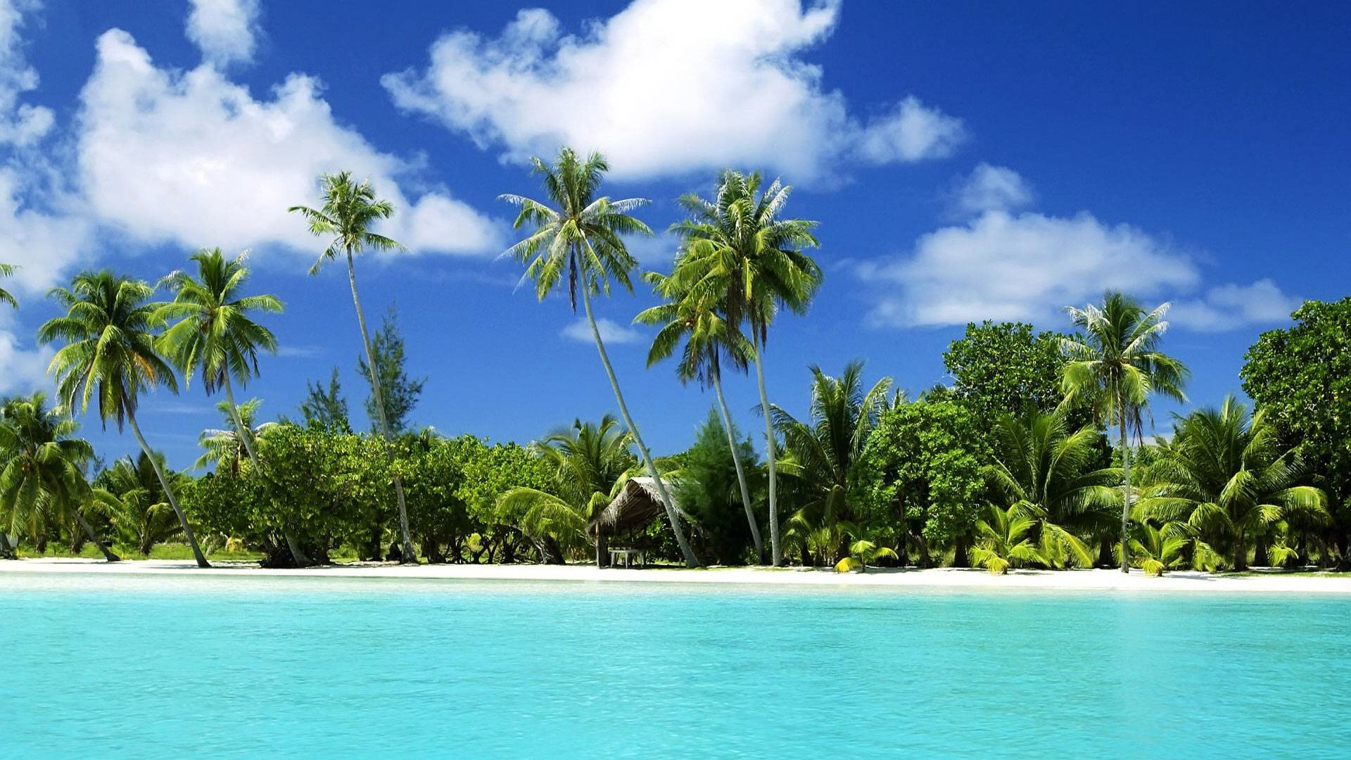Tropical Wallpaper for Free Super HD Pics download on