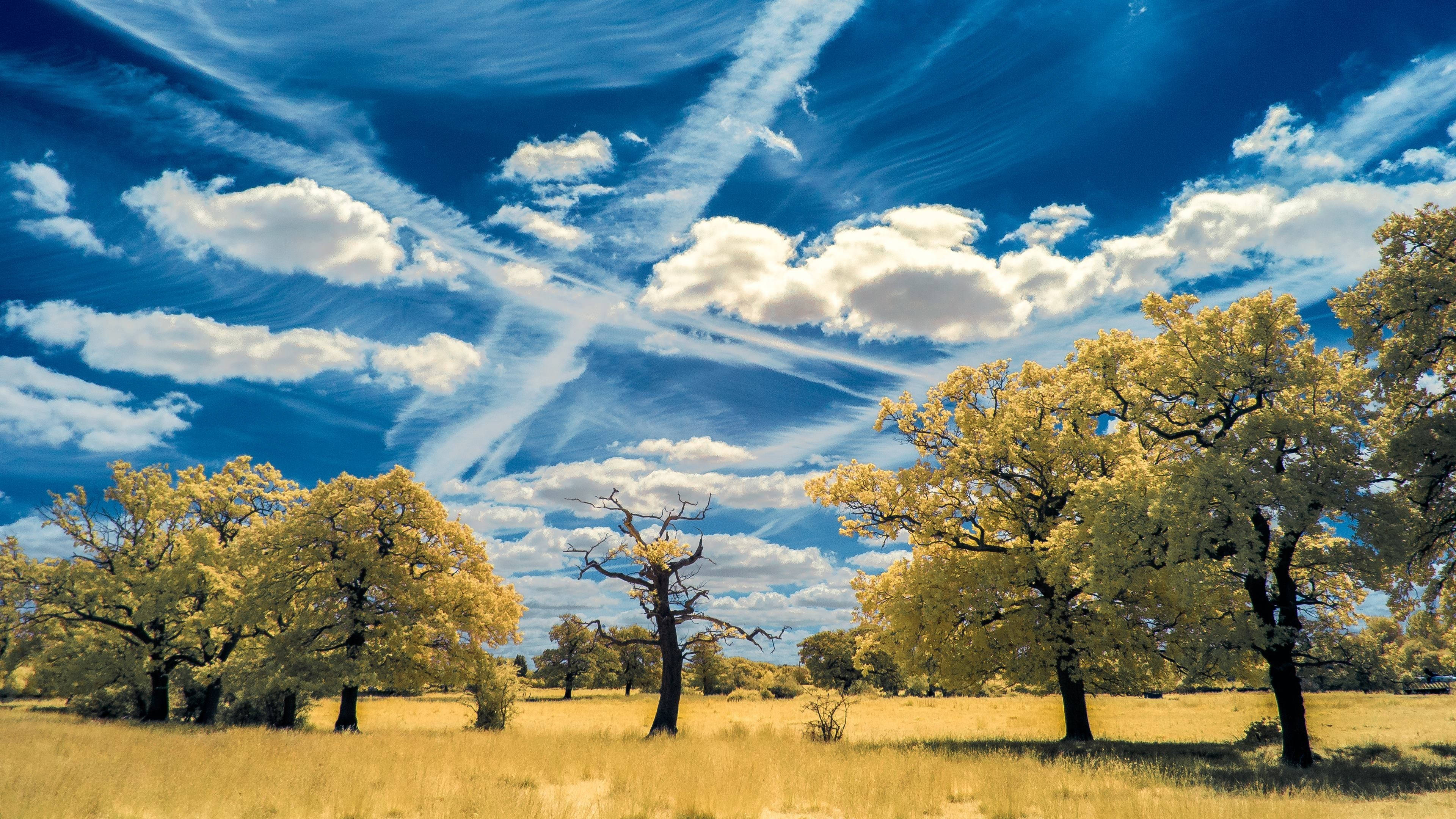 Full HD Nature Wallpaper