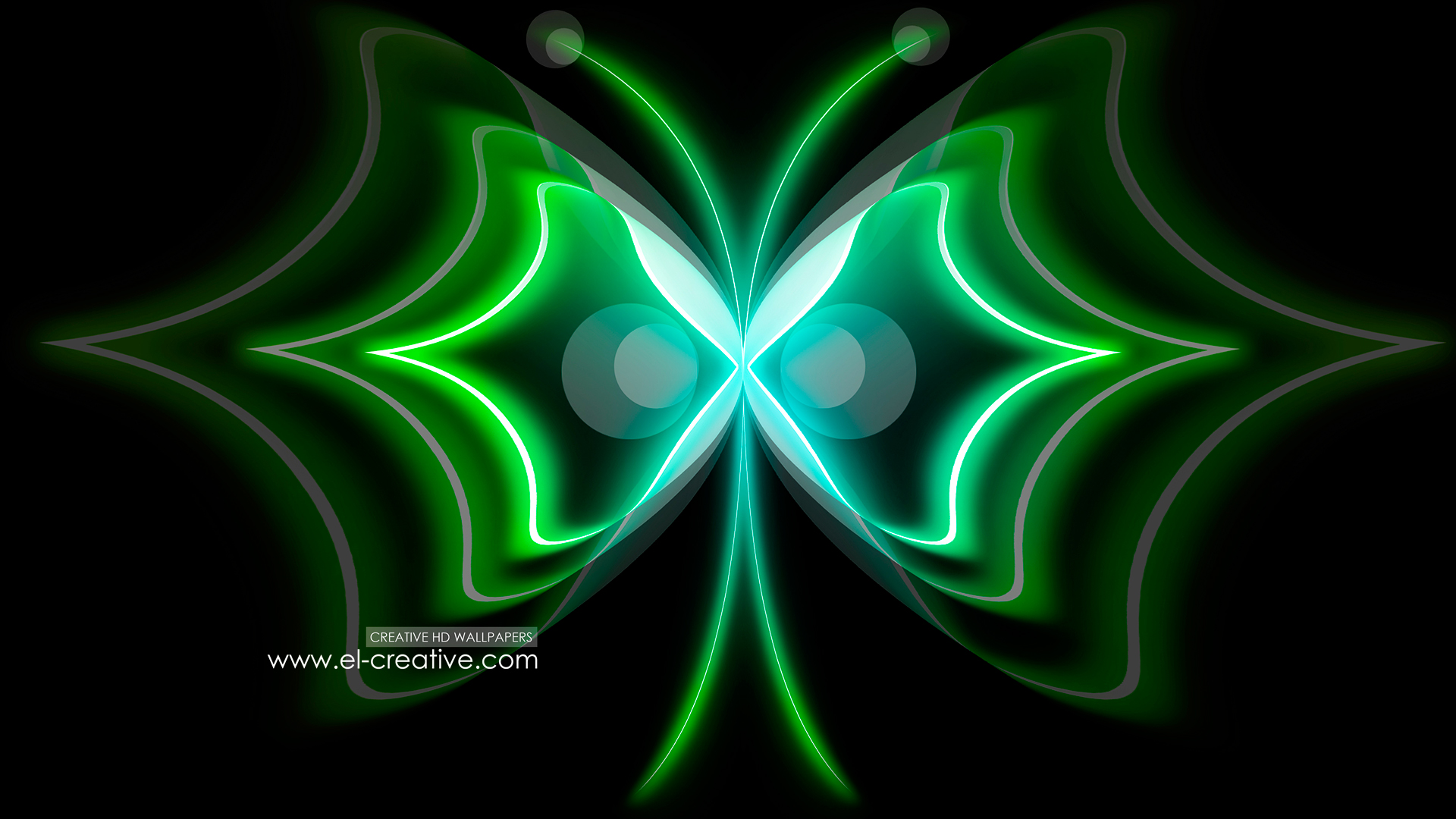 Related Pictures Neon Butterfly Live Wallpaper