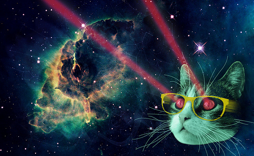 Laser Cat In Space Photo Sharing