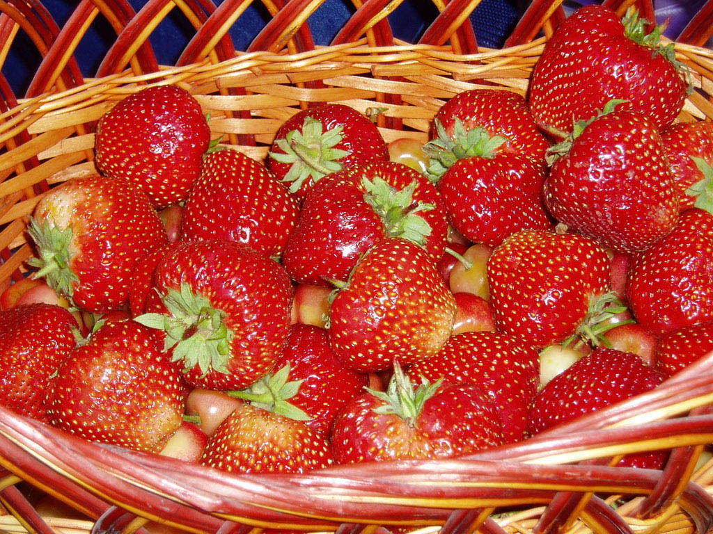 Strawberry Wallpaper   Fruit Wallpaper 6102235 1024x768