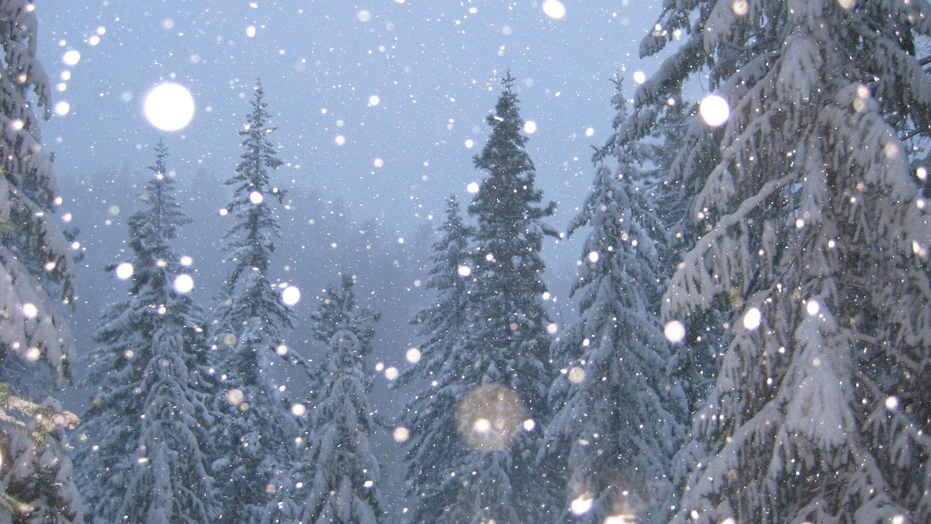 Snow Aesthetic Wallpaper