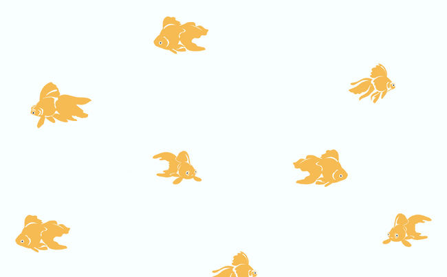 Goldfish Wallpaper Flowery Animals Kitties