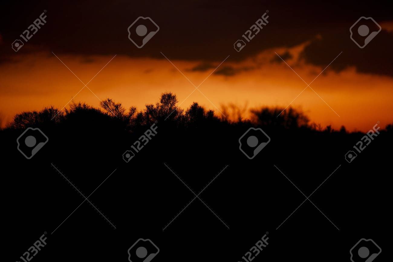 Desert Silhouette Background Mojave Sunset