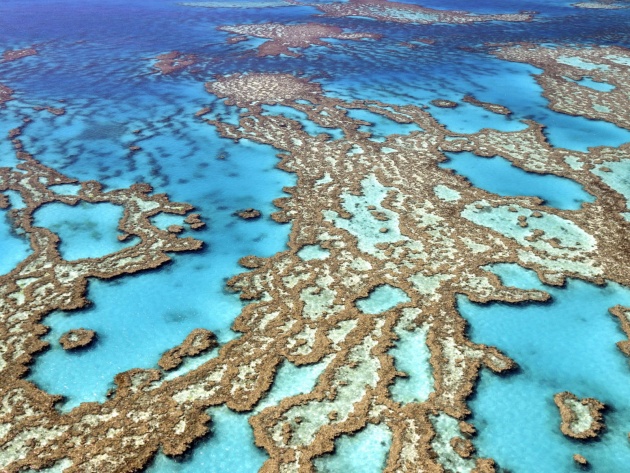 Coral Reefs From Helicopter