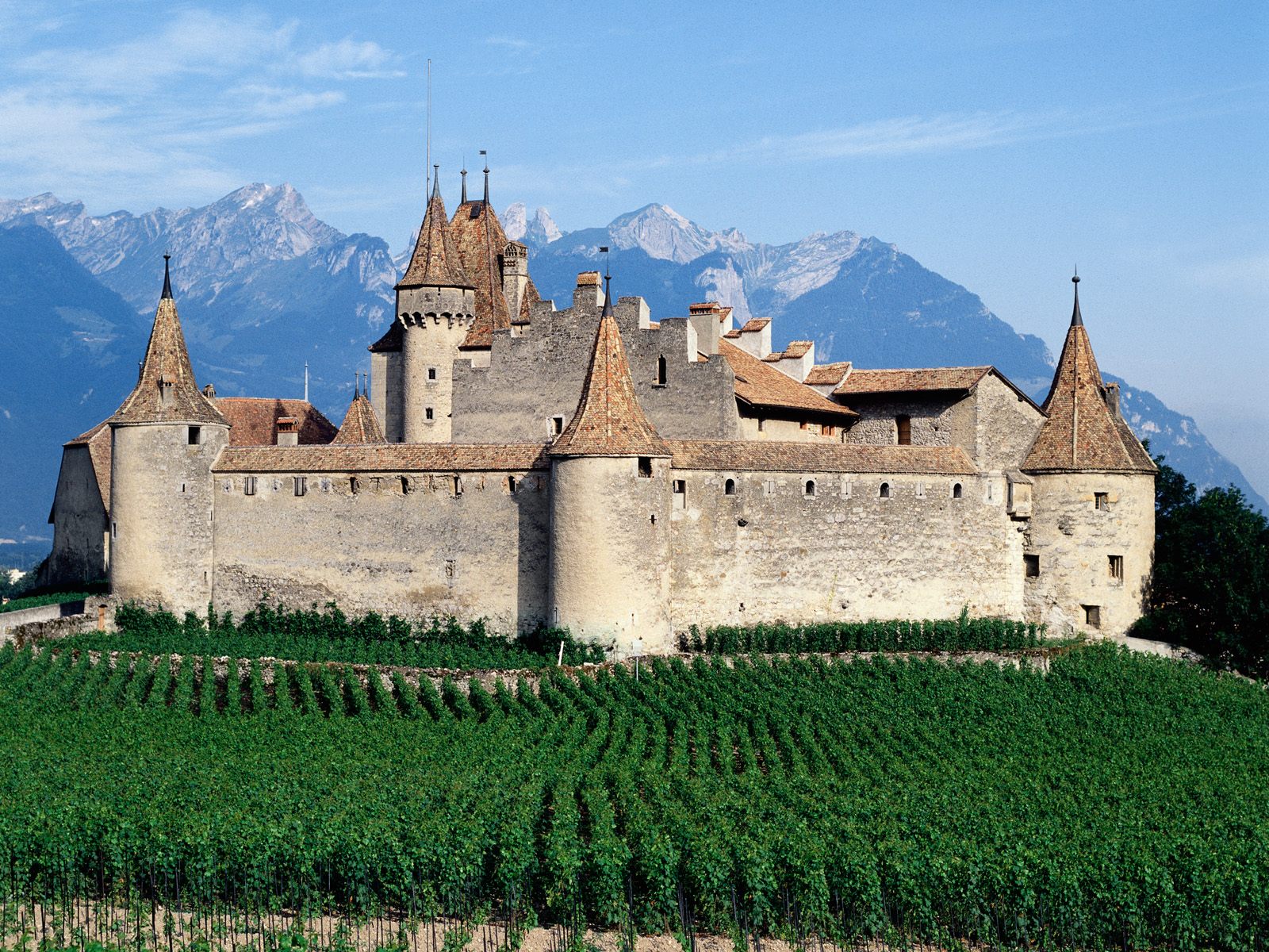 Chateau D Aigle Wallpaper And Image Pictures Photos