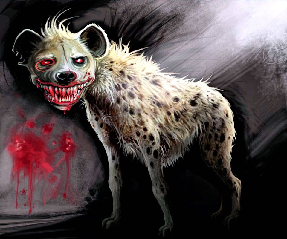 Hyena Wallpaper Background