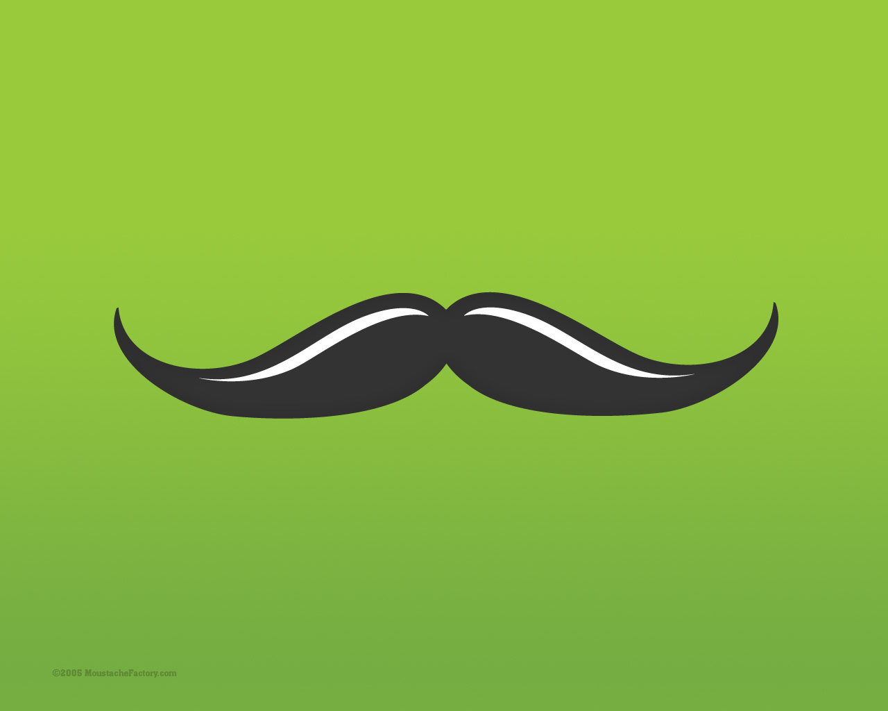 Moustache Wallpaper Looking For