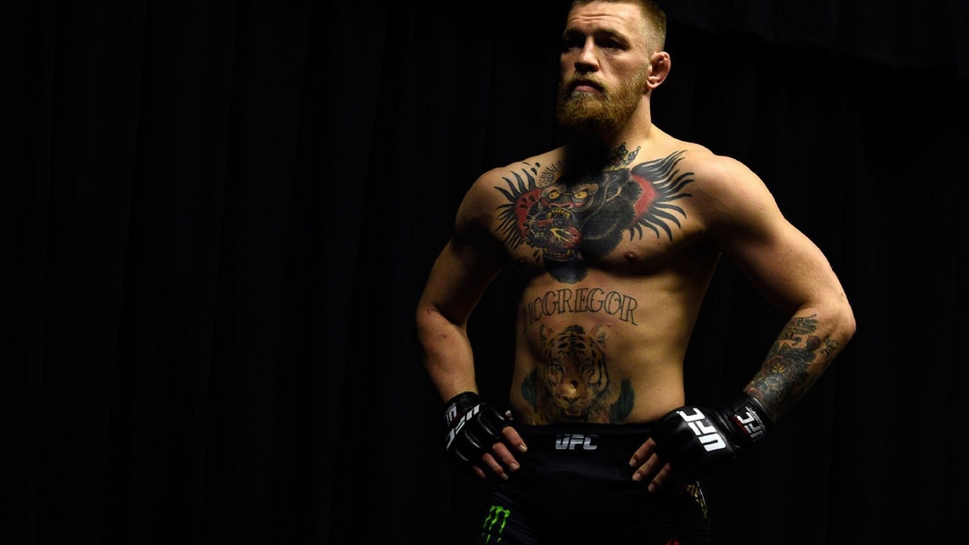 Ufc Fighters