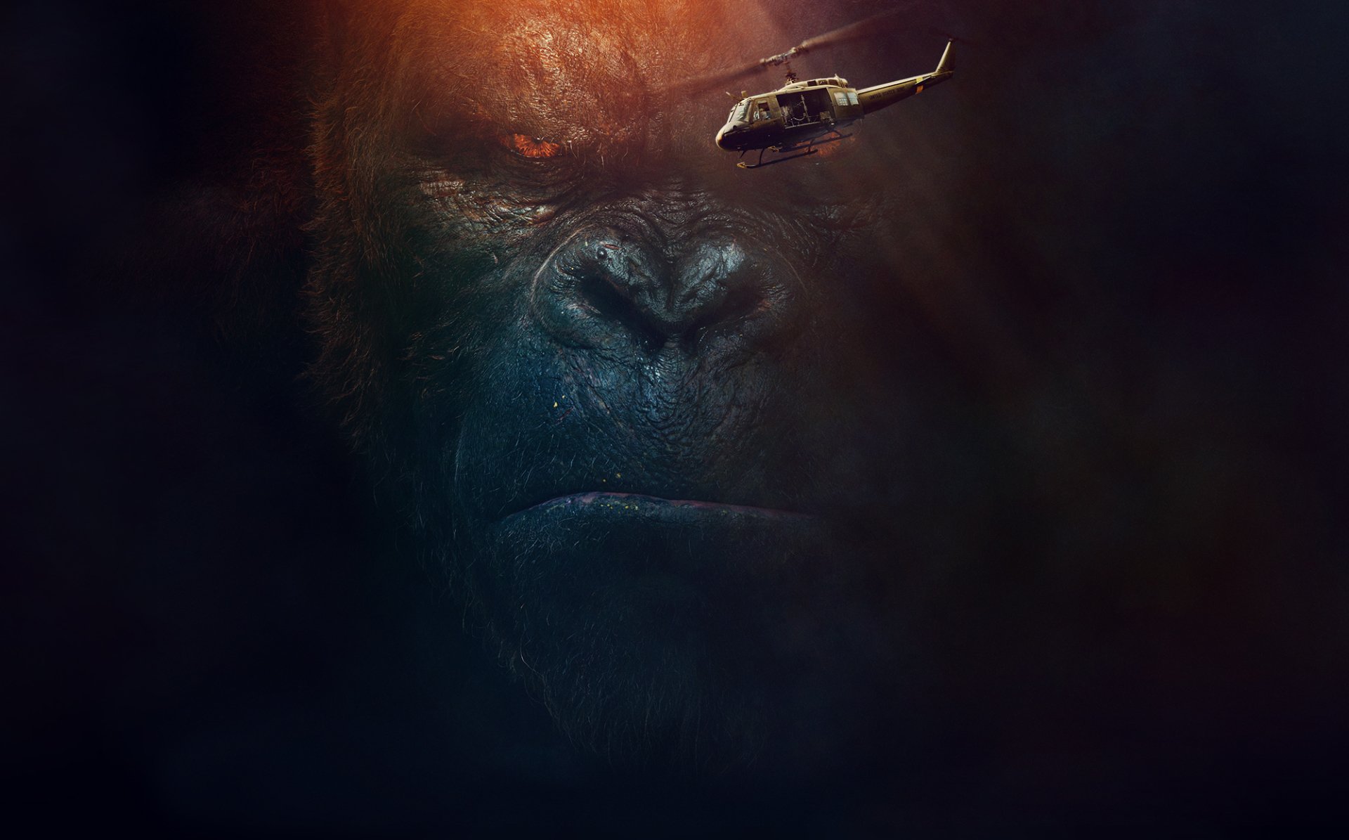 King Kong - Hình nền & Hình nền đẹp hd - WallHere