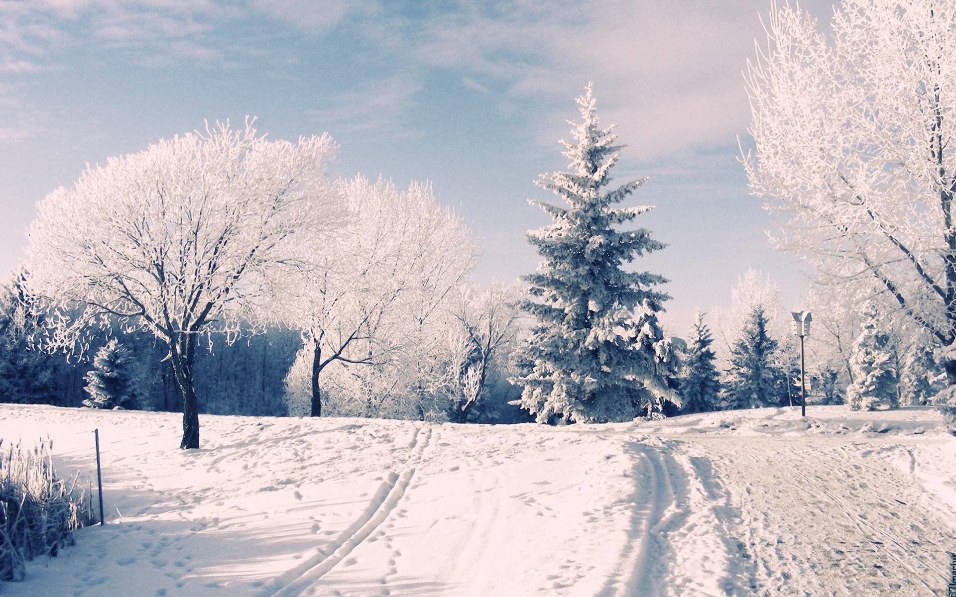 Beautiful Winter Wonderland Wallpaper Image