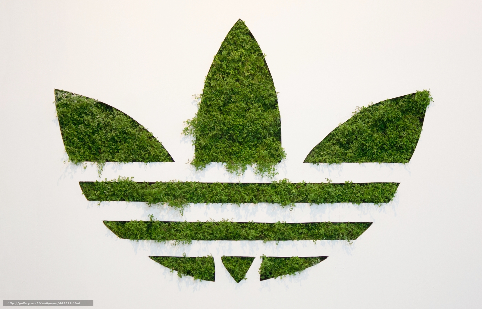 Logo Of Adidas Wallpaper Image Crazy Gallery