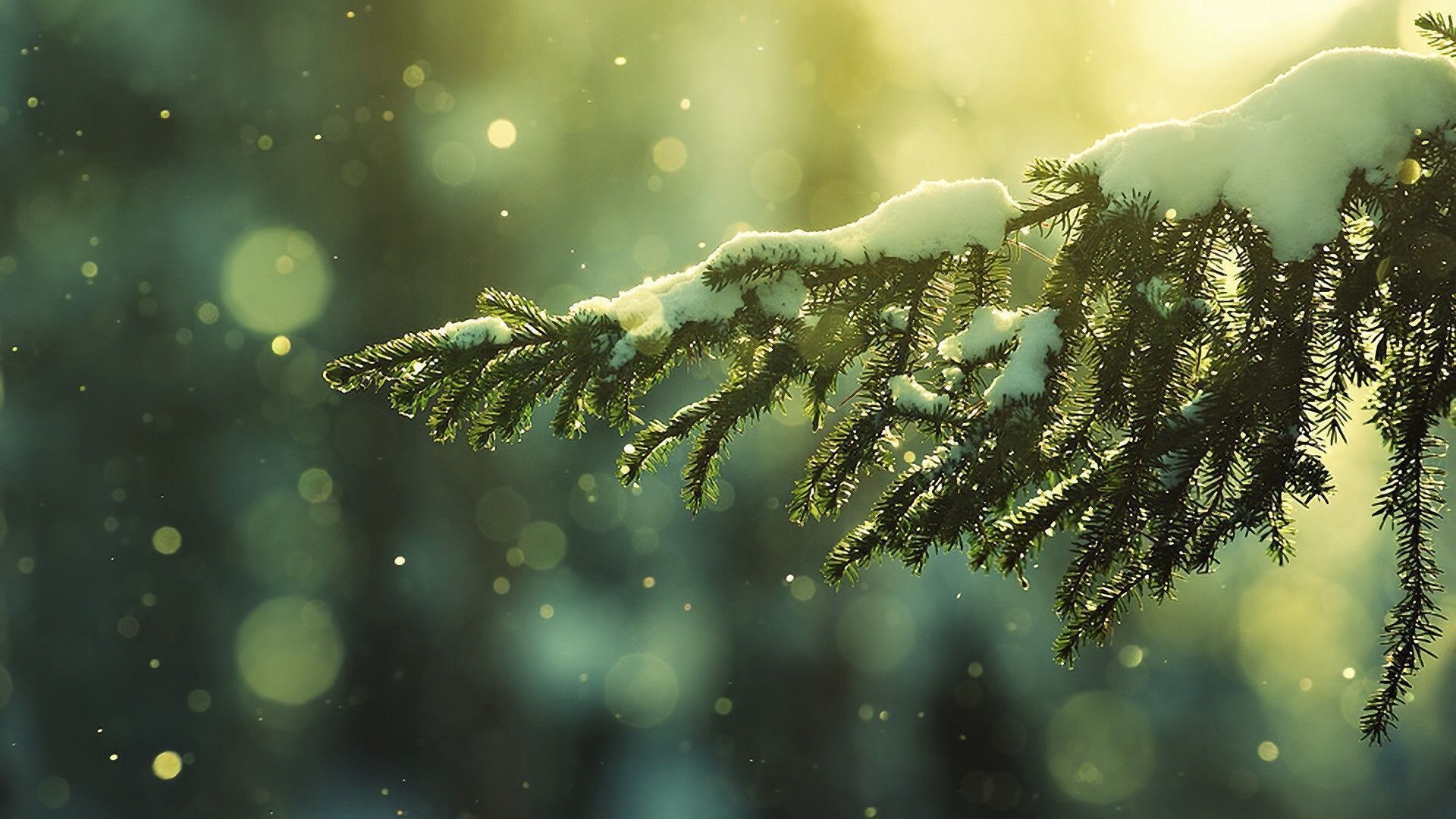 Winter HD Wallpaper Id37187