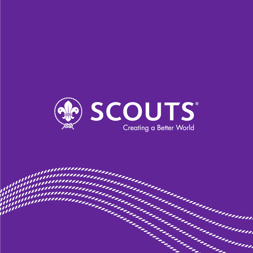Scout Wallpaper Mb 4usky