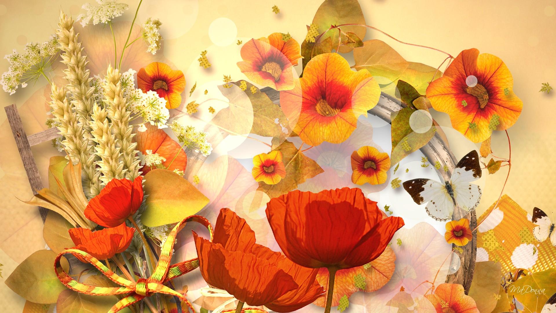 Autumn Flowers HD Wallpaper