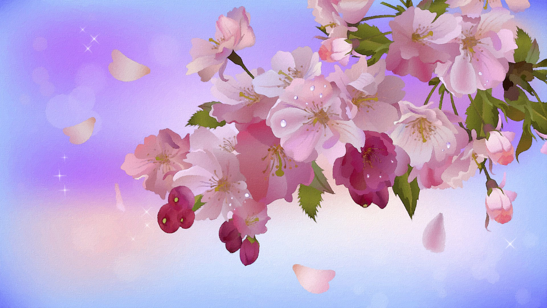 Apple Tree In Blossom Twig Leaves Bokeh Star Flower Buds Petals