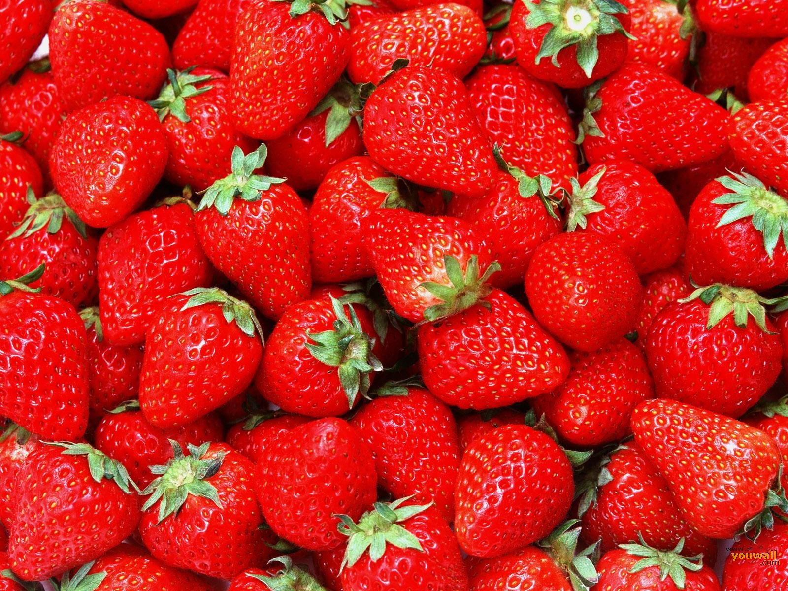 Youwall Strawberries Wallpaper