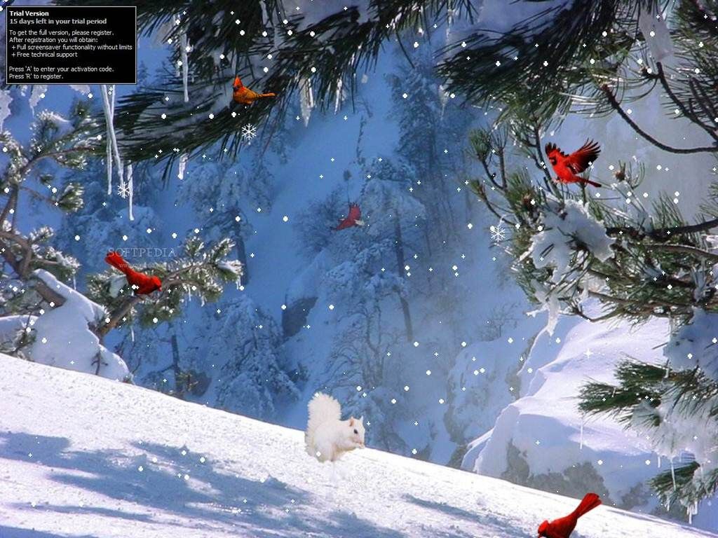 Beautiful Free Winter Wallpaper Desktop Backgrounds