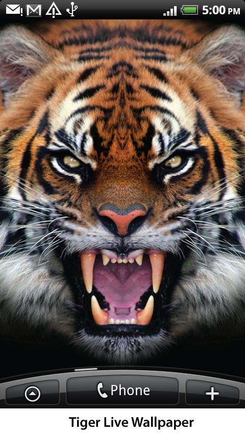 Tiger Live Wallpaper App Android Su Google Play