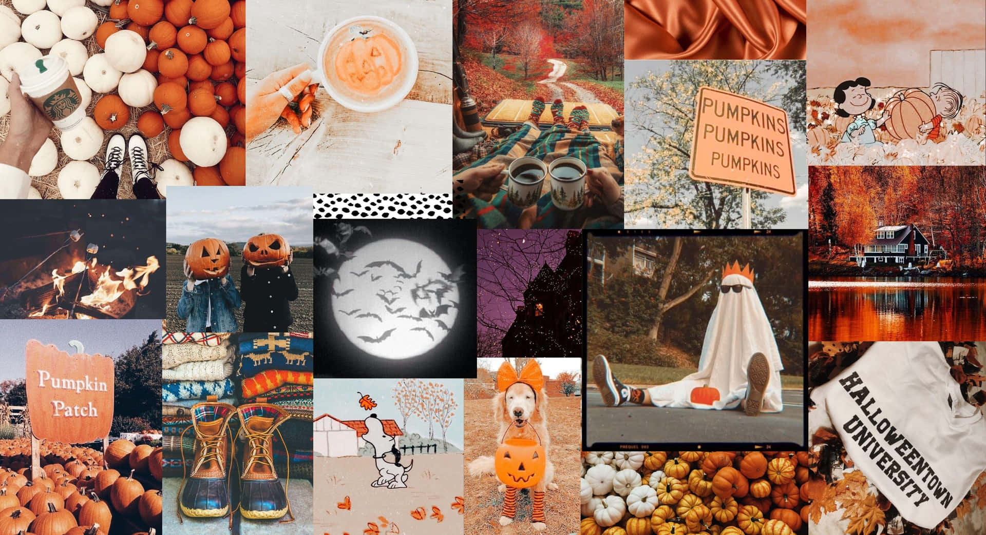 Fall Halloween Aesthetic Wallpaper