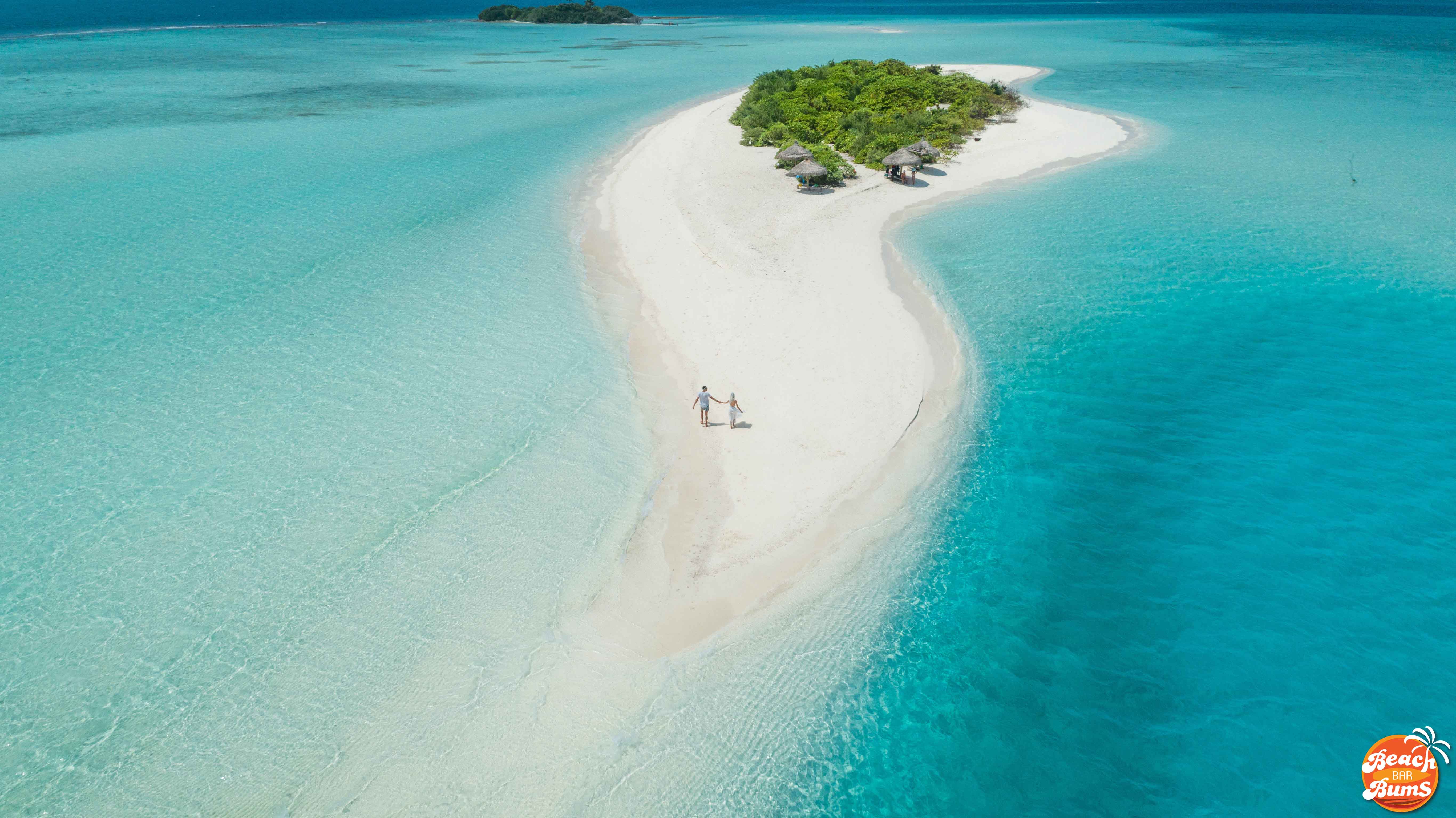 Find Your Beach Bar Bums