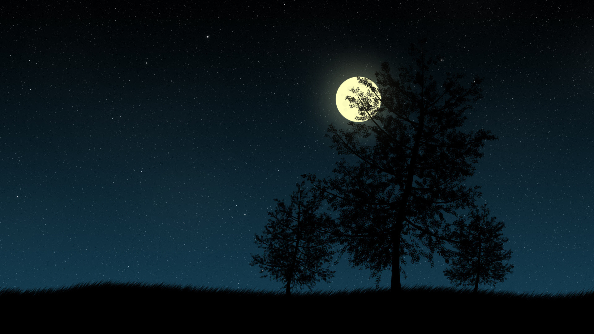 Wallpaper Night Tree Moon Star Silhouette Picture Desktop