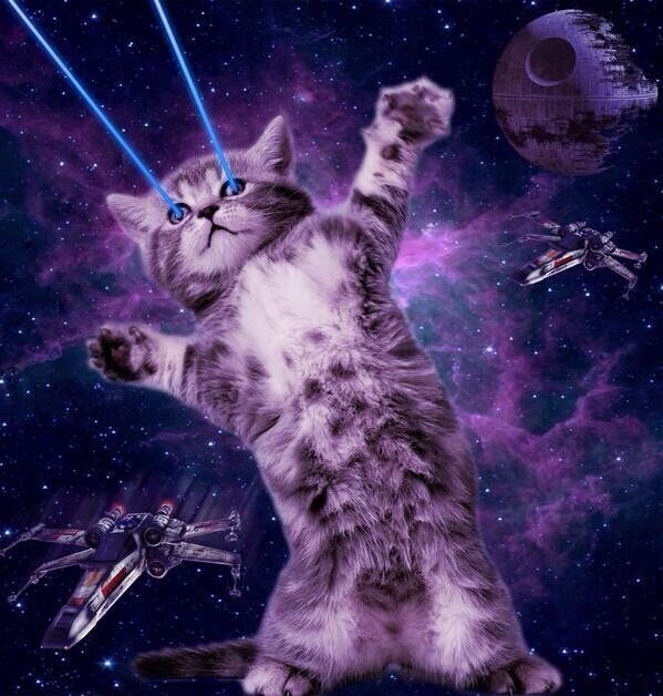 The Space Cats Account Is Greatest Thing Ever Pics