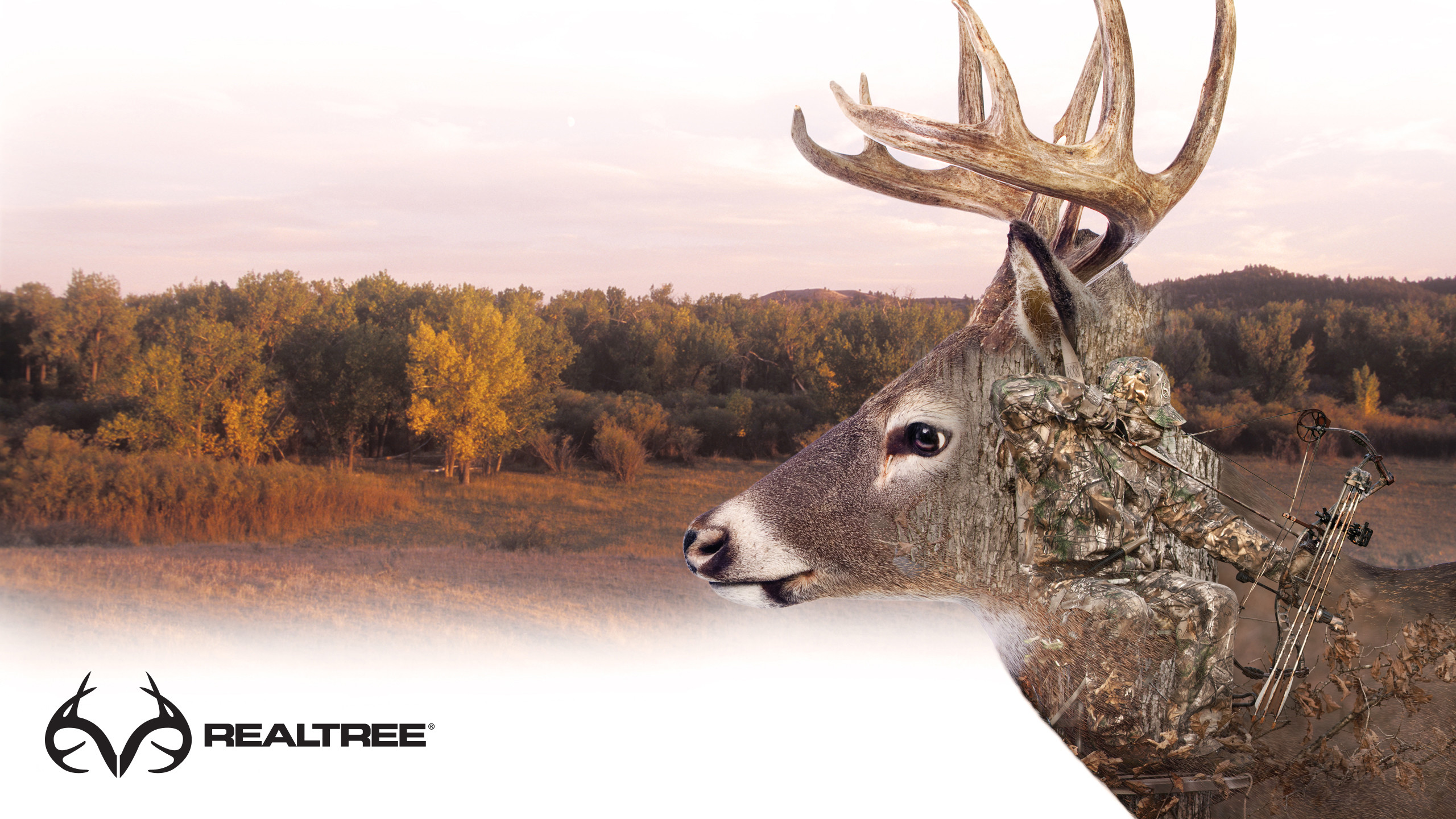 Outdoor Hunting Background Whitetail Deer Cool