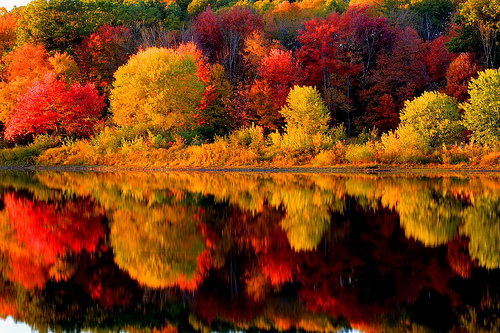 Fall Colors New England Flickr   Photo Sharing