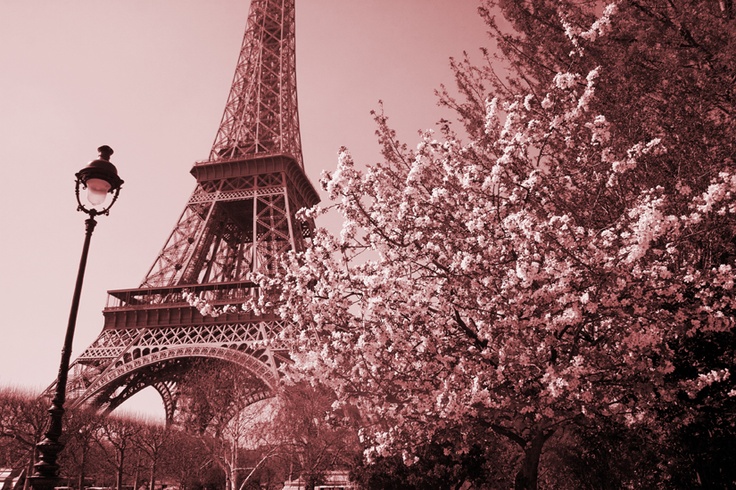spring in paris my current comp wallpaper AND facebook cover