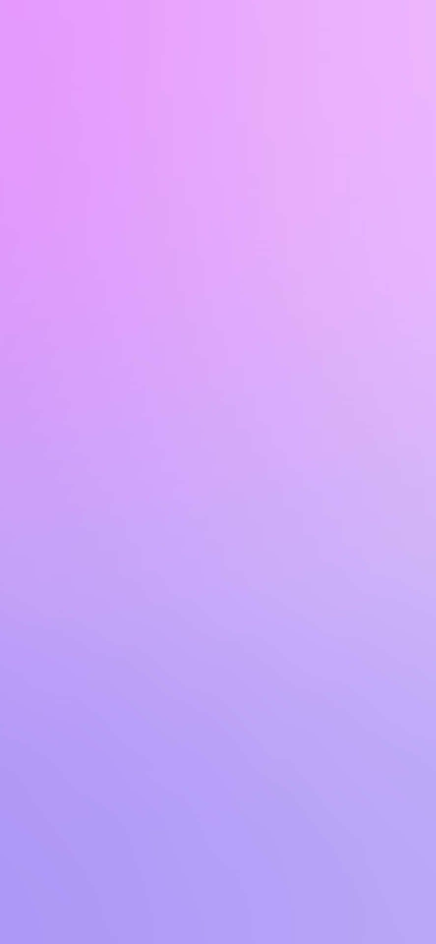 Lilac Color Wallpaper