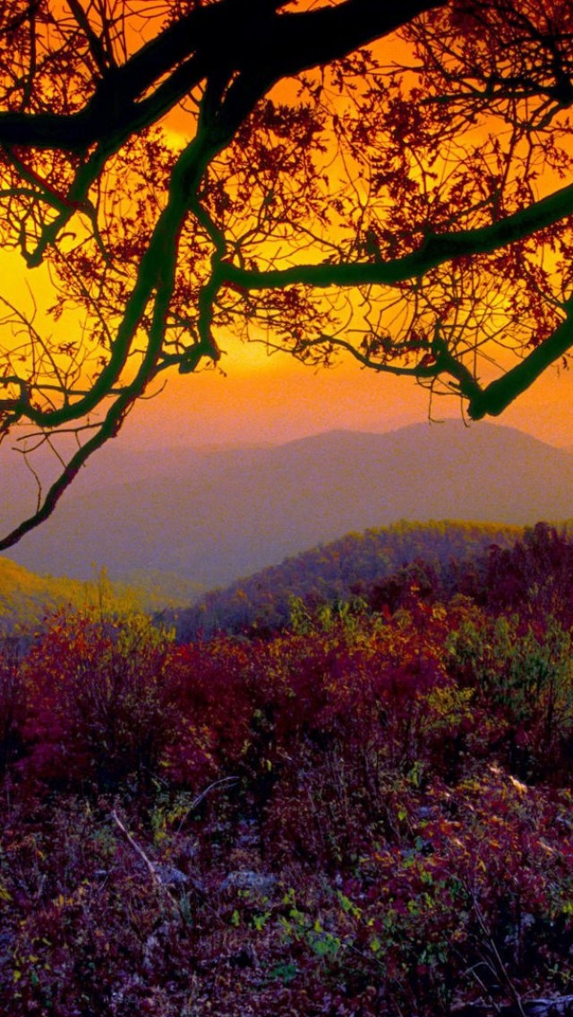 Shenandoah National Park Autumn Sunset Landscape iPhone
