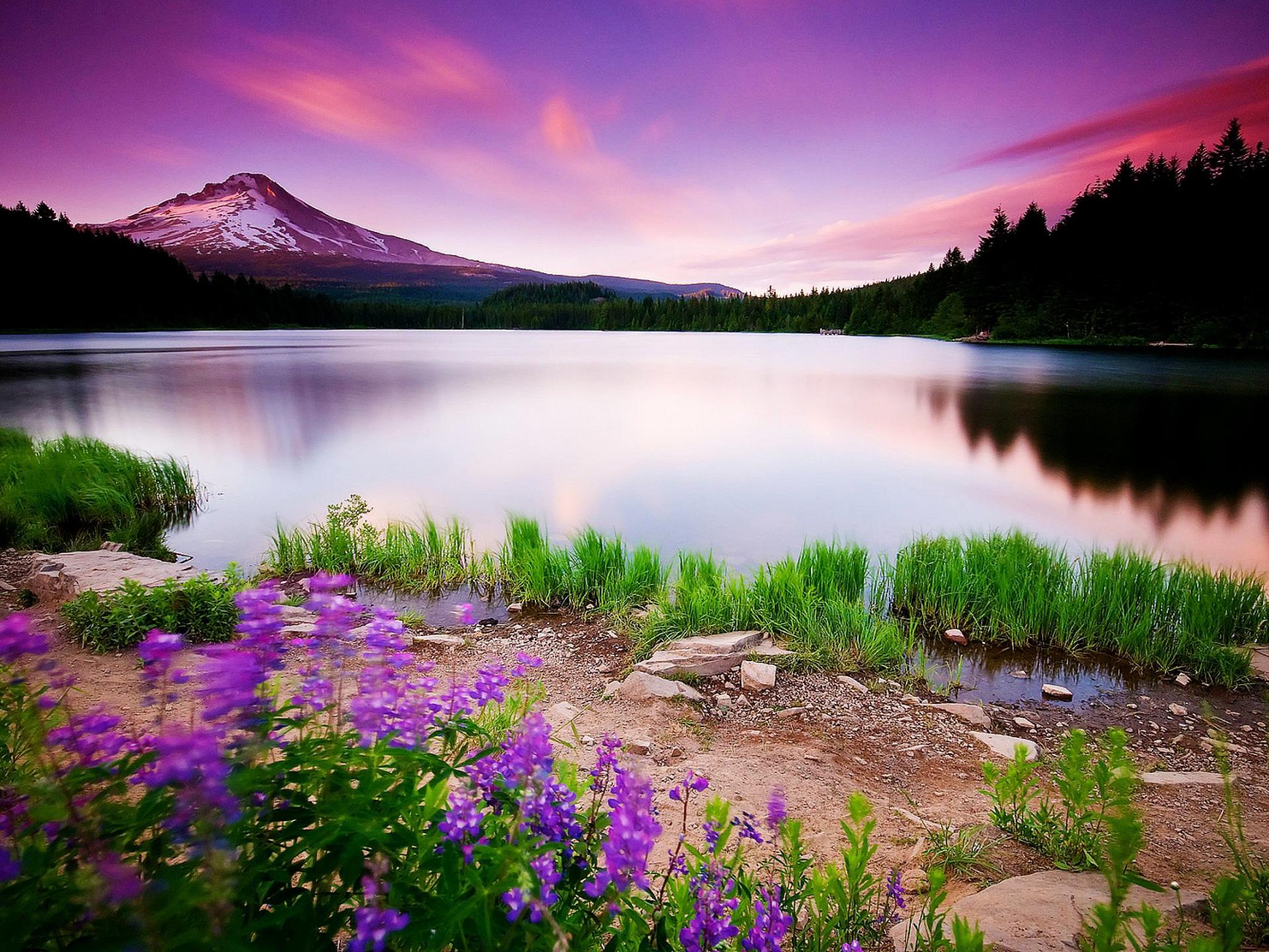 Beautiful Wallpaper HD Full Points