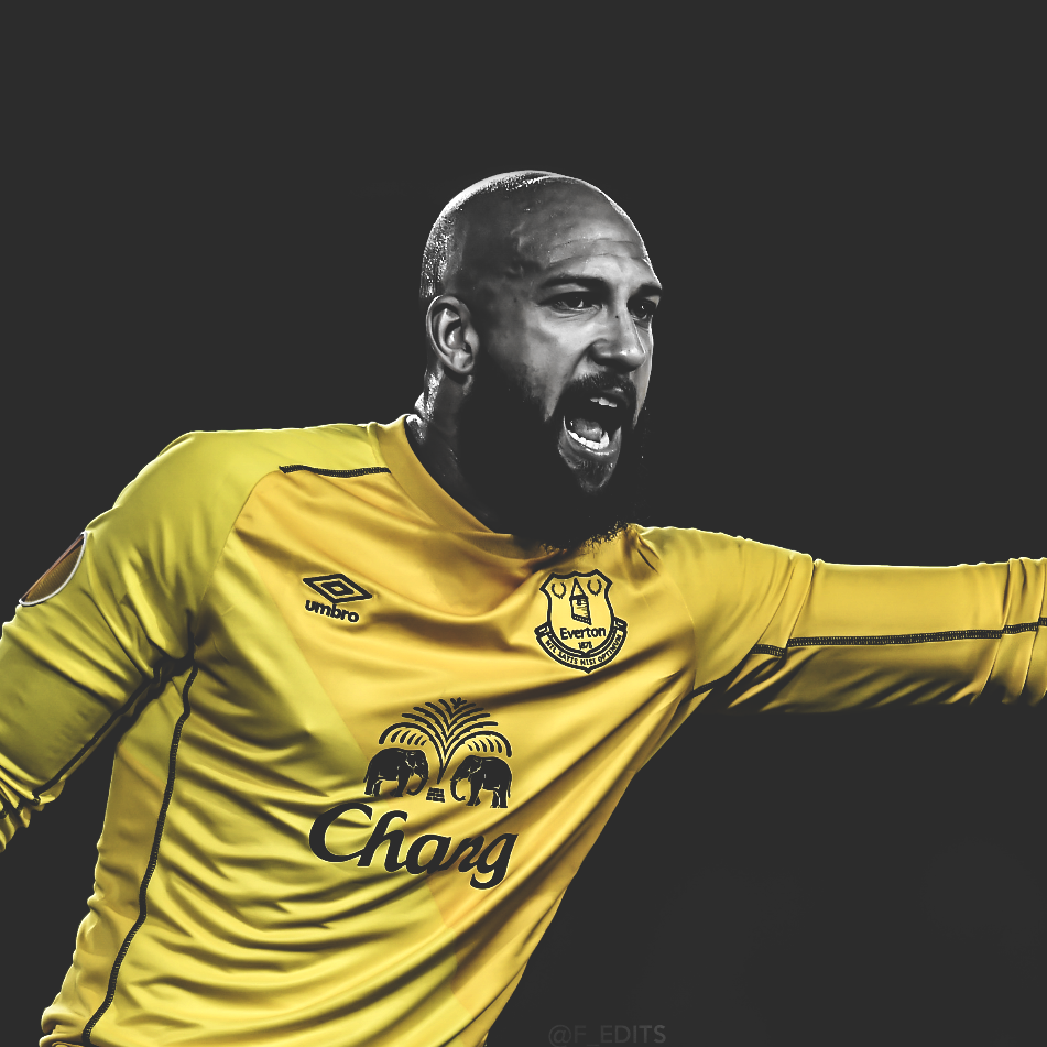 Fredrik On Tim Howard Efc iPhone Wallpaper And Icon