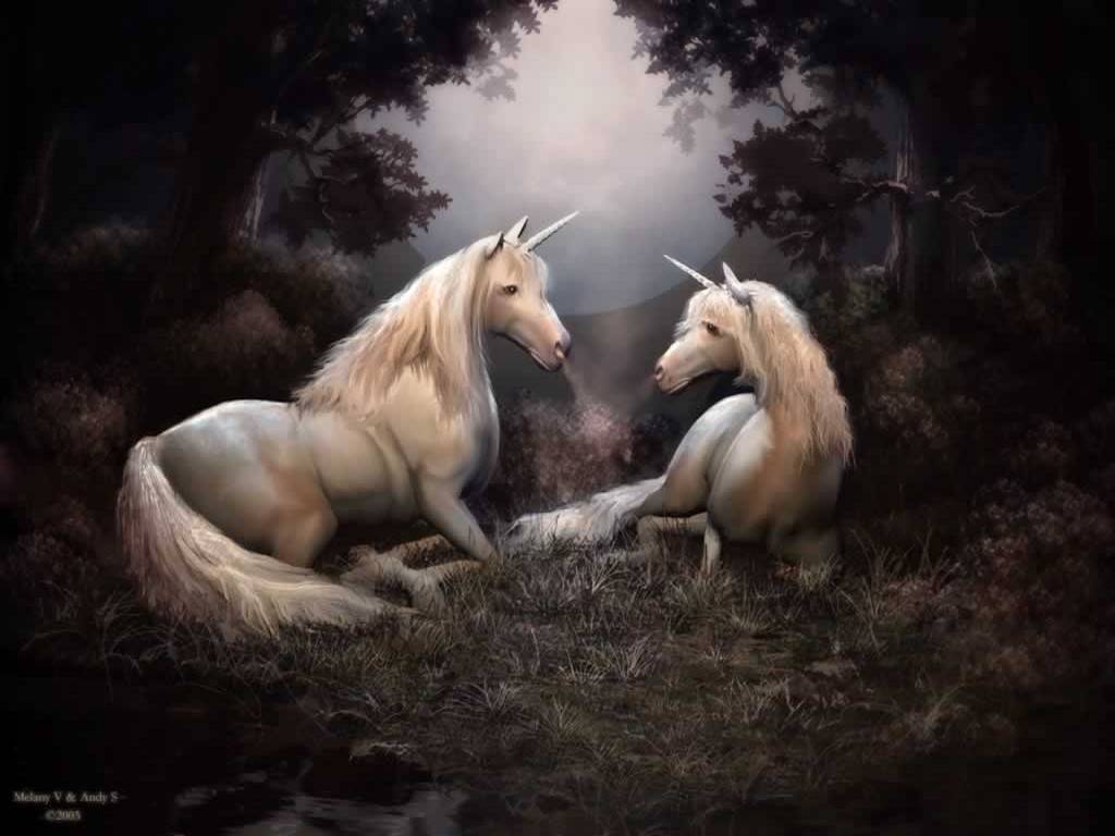 Magical Unicorns 22 Background   Hivewallpapercom