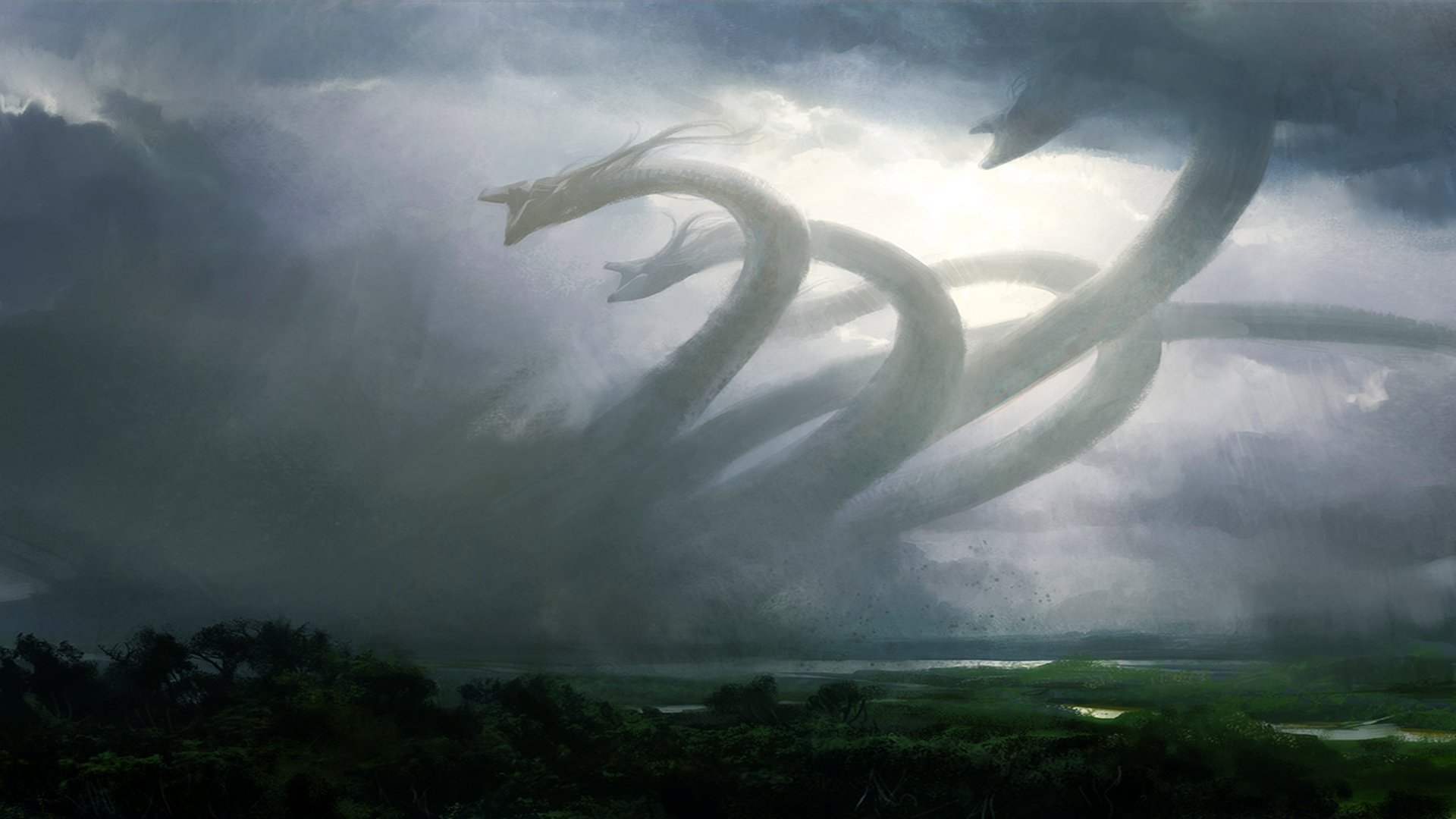 Storm Dragons HD Wallpaper Background Image Id