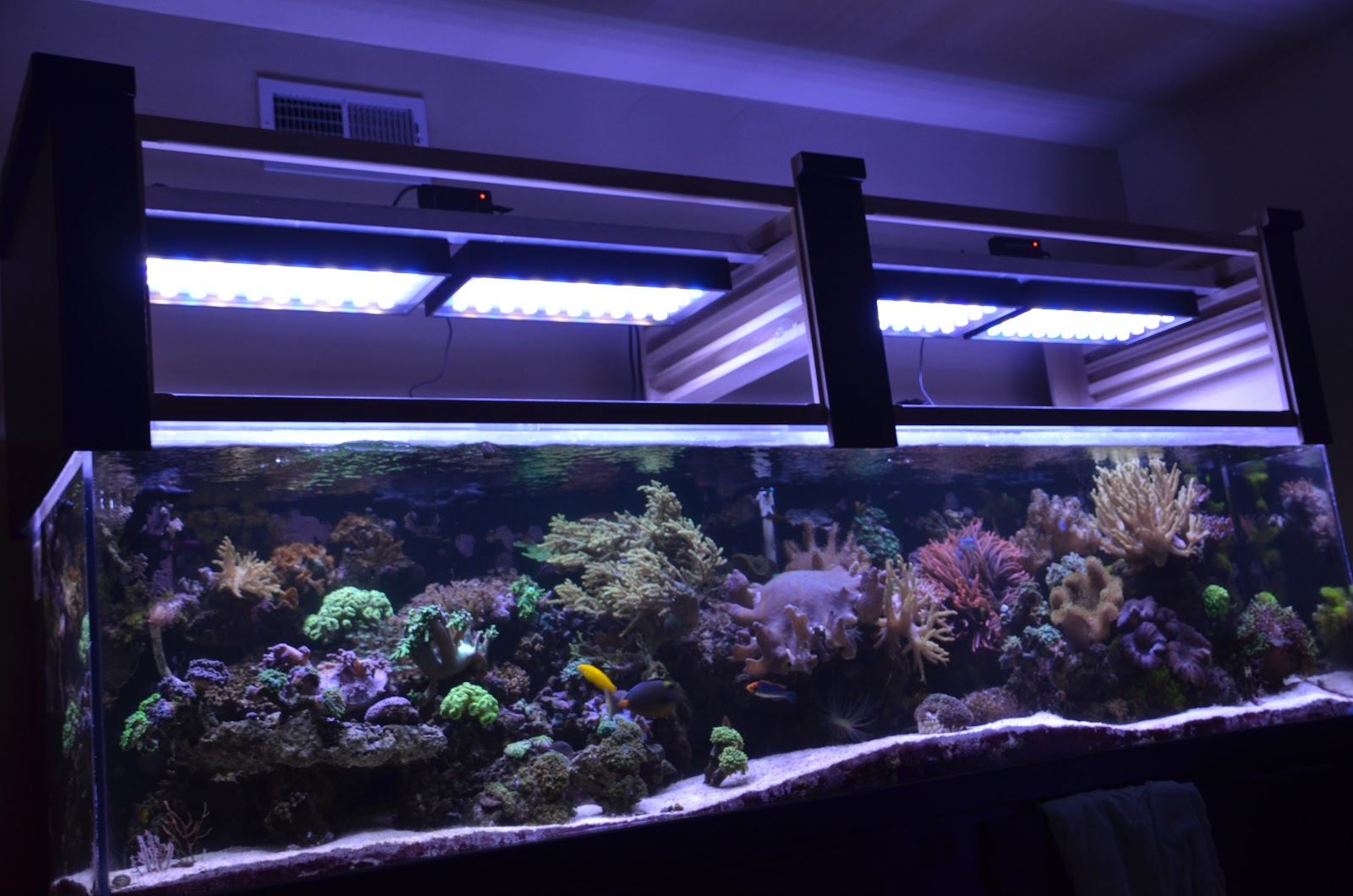 Fish Tank Lights Wallpaper HD