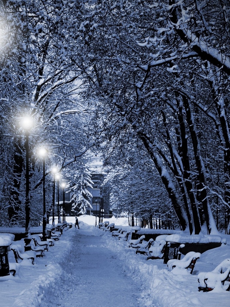 Winter Trees Lamps Way iPad Wallpaper