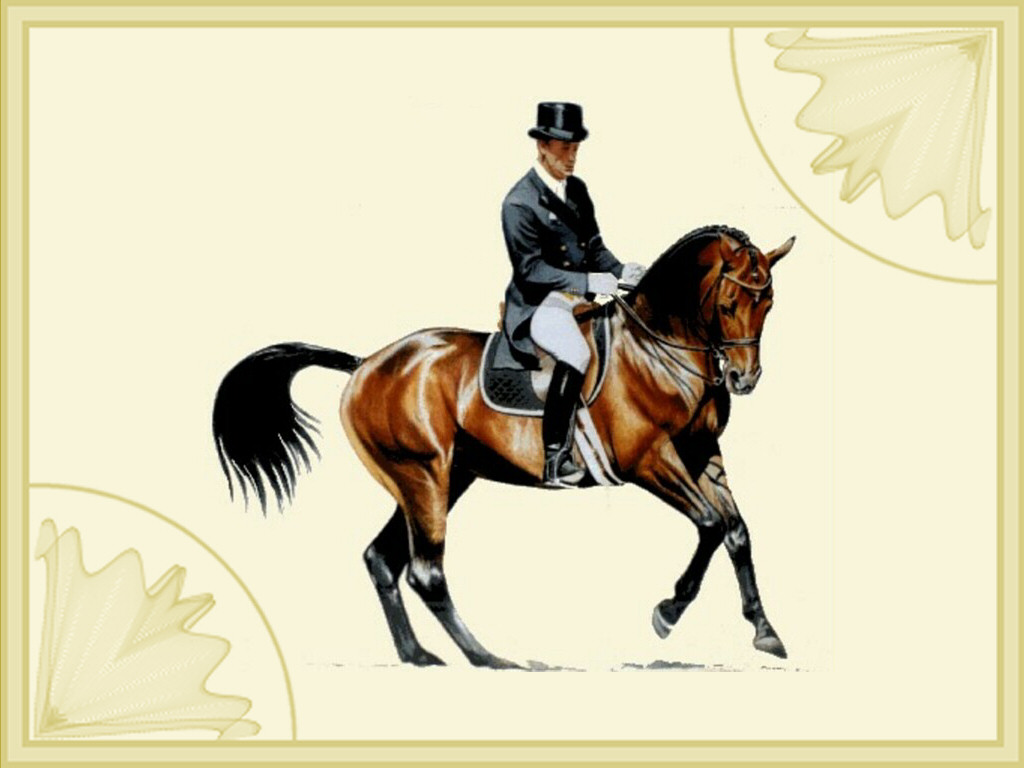 Cavalier Et Cheval De Dressage Wallpaper