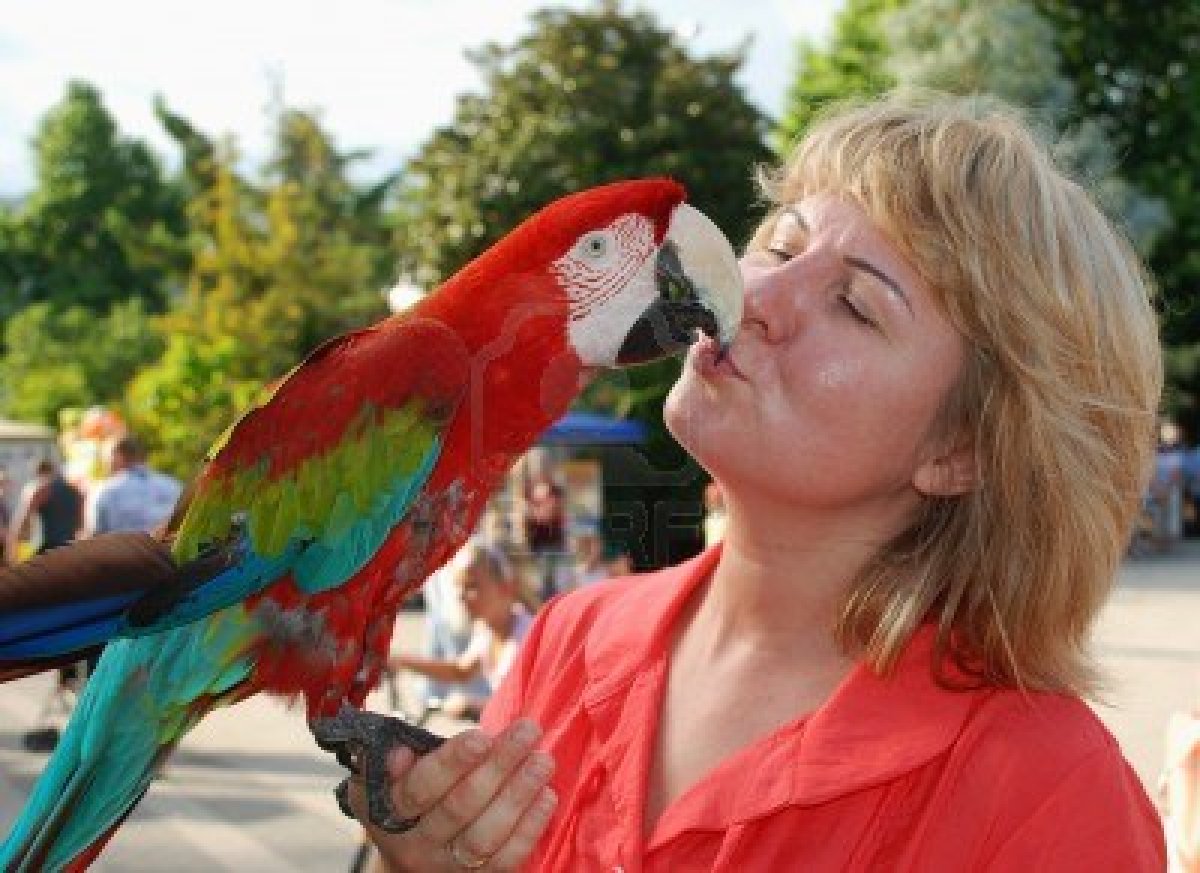 Wallpaper Fine Beautiful Parrot Colorful Kissing Girl