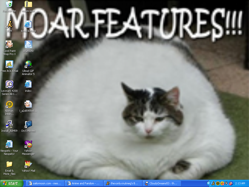 Epic Fail Cat Desktop By Kyuubi San