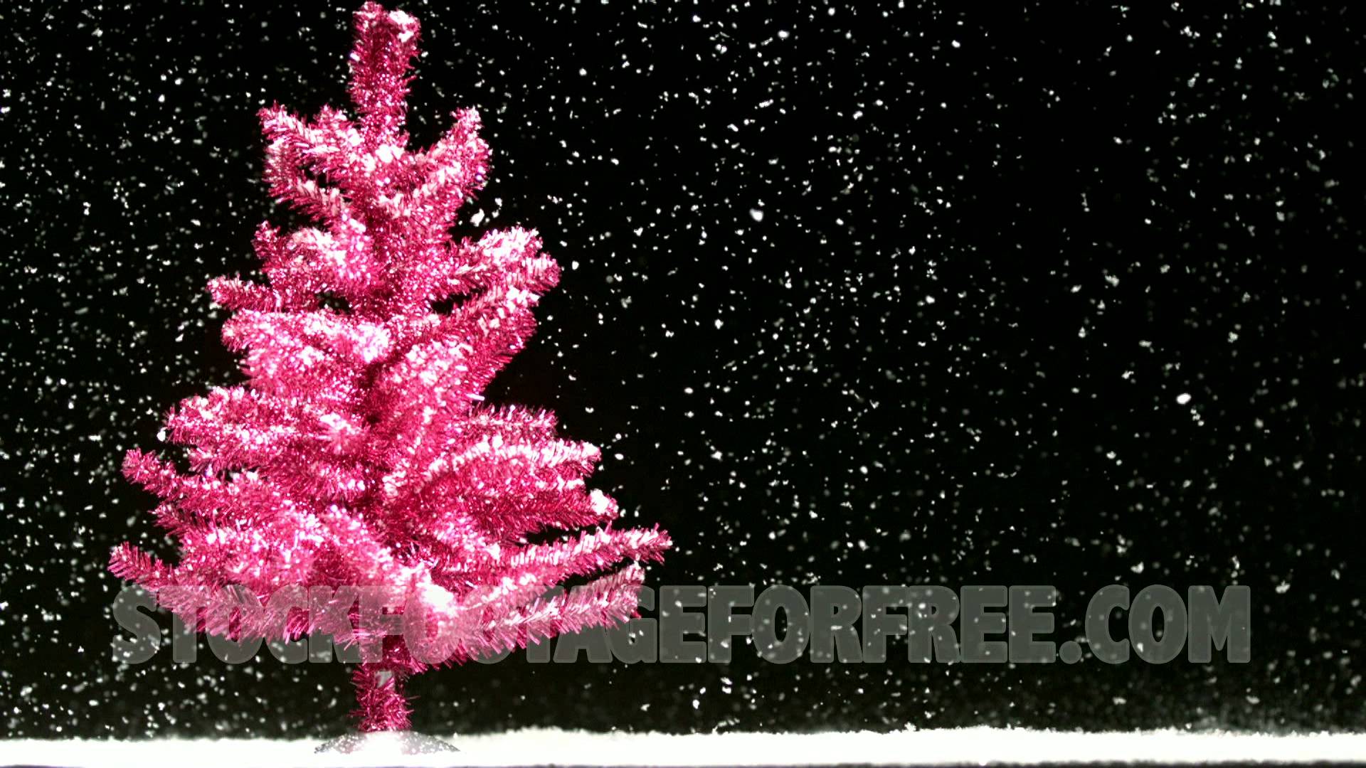 Đón Giáng sinh đầy màu sắc và thật mới lạ với cây thông màu hồng đầy bất ngờ. Chúng mang đến sự ấm áp, thân thiện đến mọi người. Hãy cùng chiêm ngưỡng những hình ảnh rực rỡ của cây thông Giáng sinh màu hồng, và cùng chia sẻ niềm vui đến với mọi người.