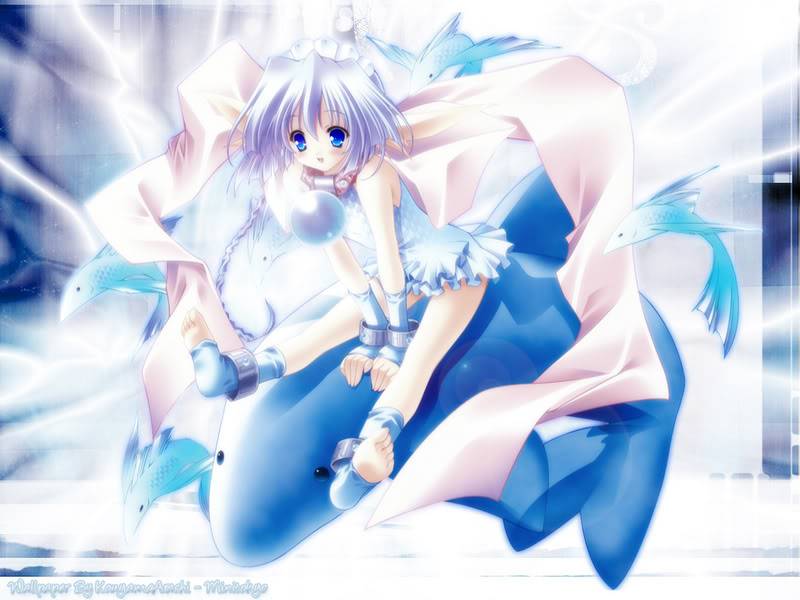 cute anime chibi girl cute anime blue hair chibi girl with dolphins 800x600