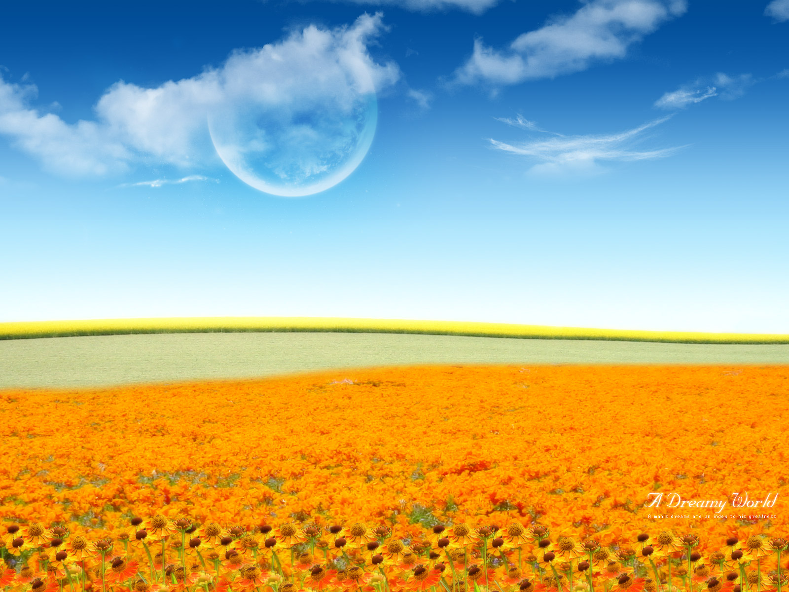 Dreamy Flower World Wallpaper HD