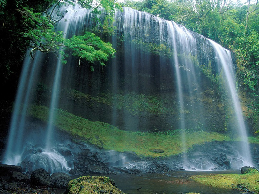 Share With Friends Live Waterfalls Wallpaper Which