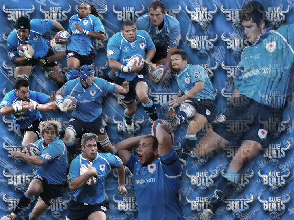 Blue Bulls Wallpaper