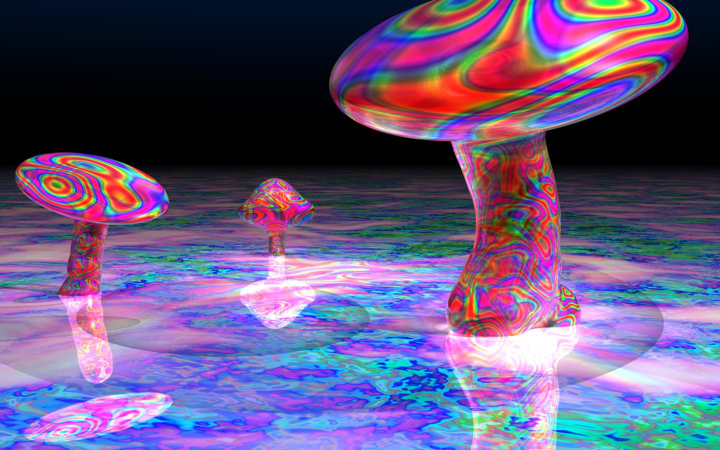 Go Back Image For Mushrooms Trippy Wallpaper