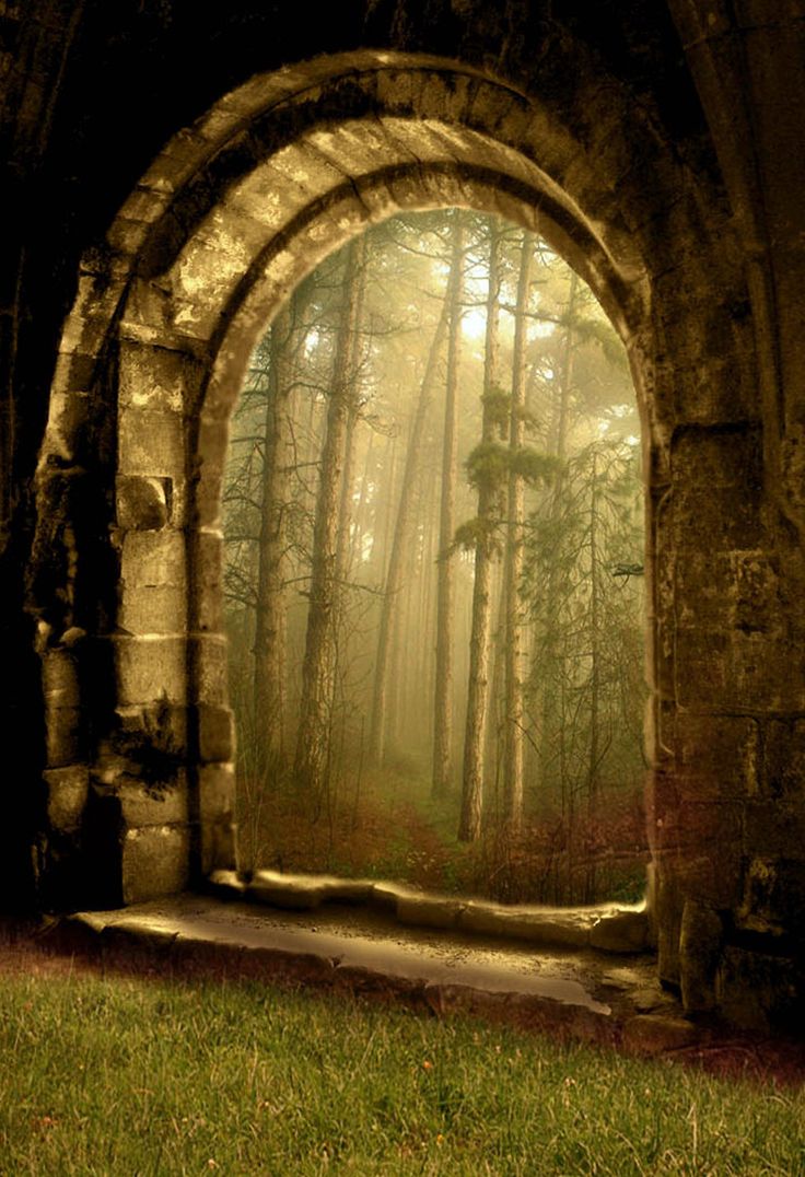 Premade Background By Maiarcitaforests The Doors Magic Secret