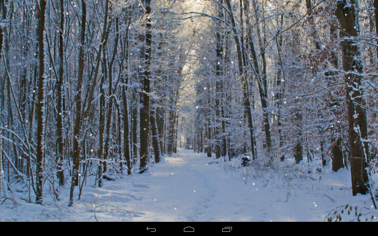 Winter Wallpaper Gives You Possibility To Watch Amazing